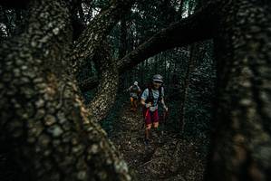 BIB: 
                            <button type="button" onclick="openModal(25689462)" class="btn btn-primary btn-sm float-right btn-popup" data-toggle="modal" data-target=".modal-high-quality">
                        <i class="fas fa-shopping-cart"></i> Add to Cart
                    </button>
                                            <button type="button" onclick="isThisMe(25689462, true)" class="btn btn-success btn-sm float-right btn-popup btn-isme hidden" data-toggle="tooltip" data-placement="bottom" title="นี่คือรูปของคุณใช่ไหม คลิกที่นี่เพื่อเอาเข้าอัลบั้ม">
                        <i class="fas fa-plus"></i> Add to album
                    </button>
                    <button type="button" onclick="isThisMe(25689462, false)" class="btn btn-warning btn-sm float-right btn-popup btn-isnotme hidden">
                        <i class="fas fa-ban"></i> Remove from album
                    </button>